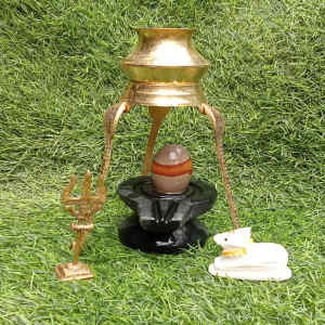 narmadeshwar shivling