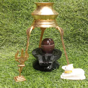 narmadeshwar shivling