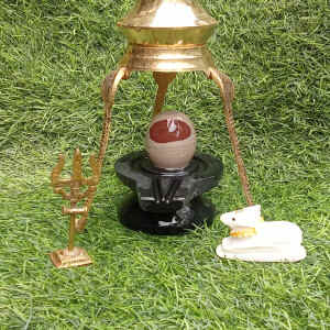 narmadeshwar shivling