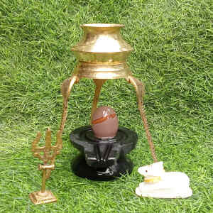 narmadeshwar shivling