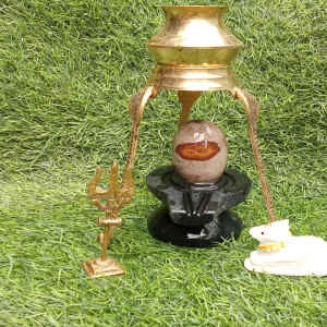 narmadeshwar shivling