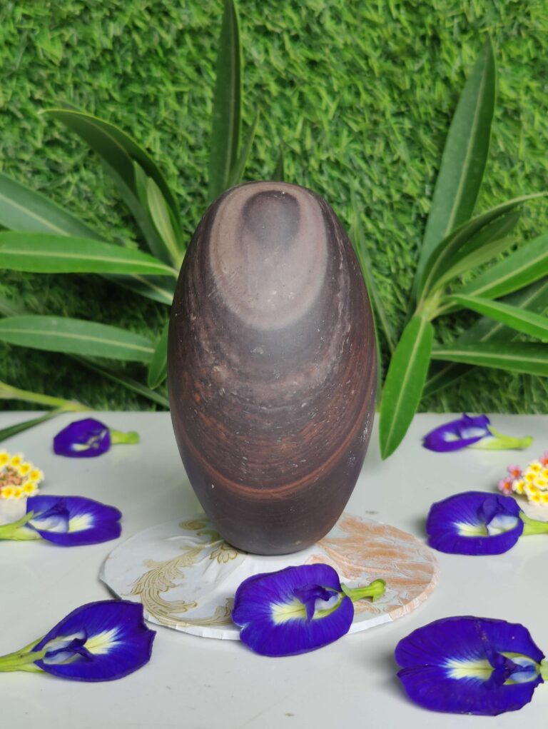 unique narmadeshwar shivling