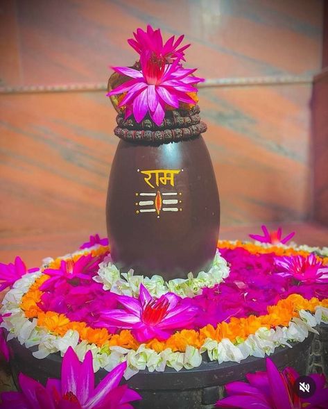 narmadeshwar shivling