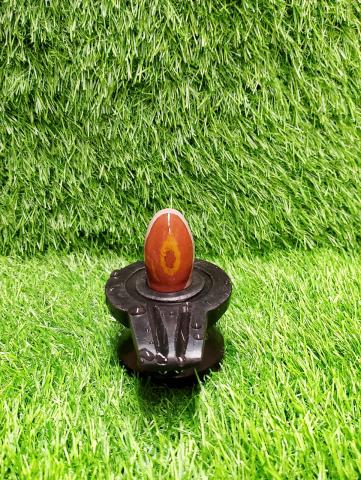 2 inch narmadeshwar shivling for home