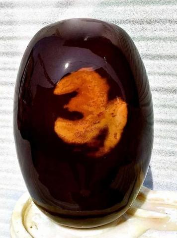 om narmadeshwar shivling