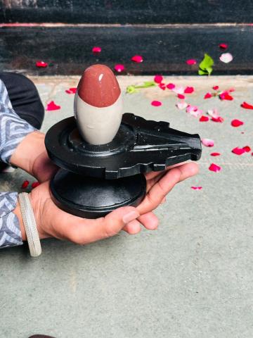 unique shivling for home pooja